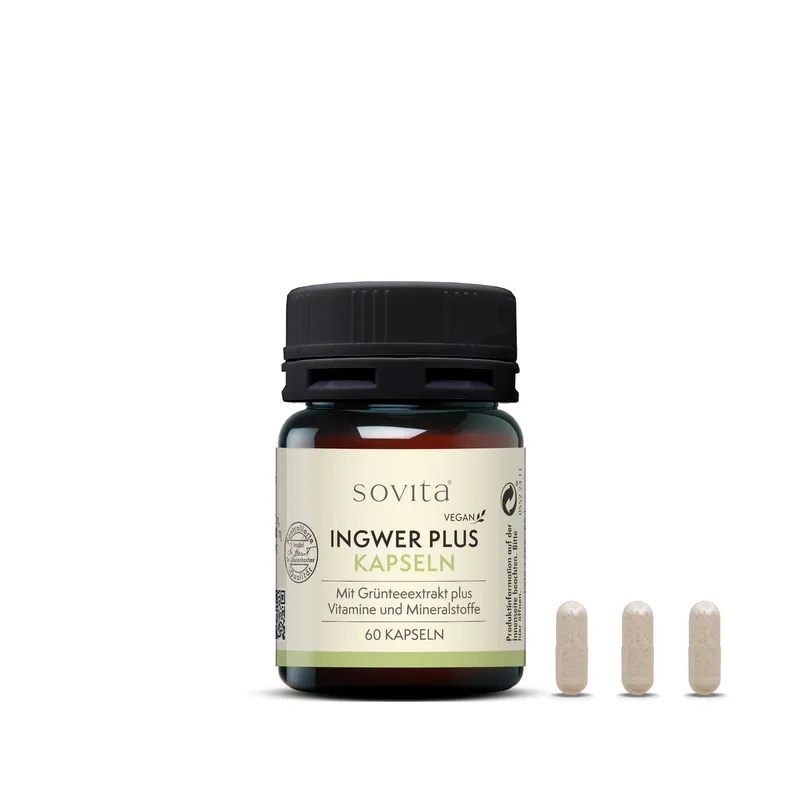 ascopharm gmbh sovita Ingwer Plus Kapseln