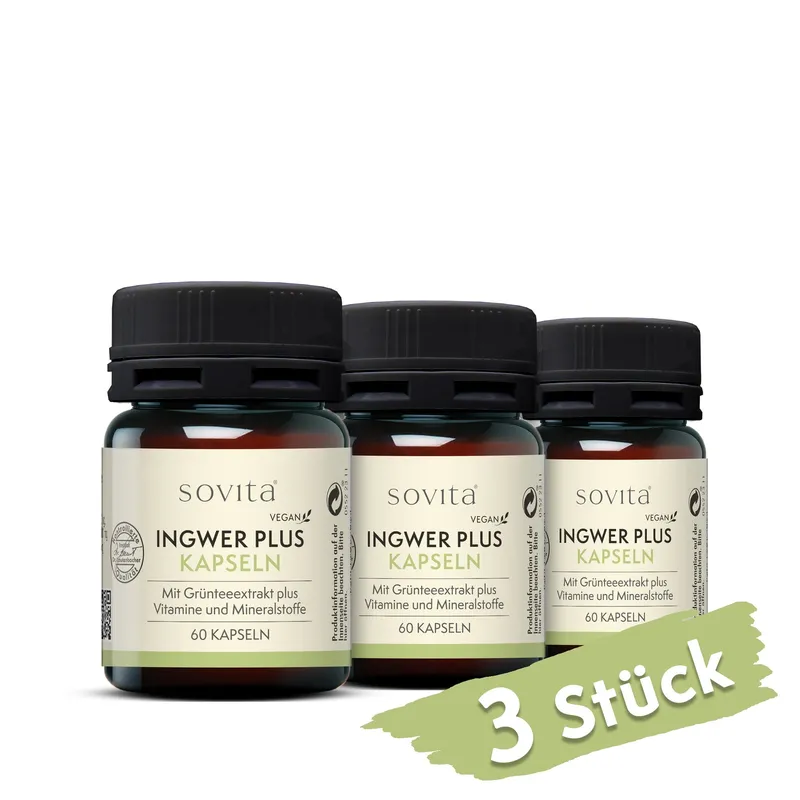 ascopharm gmbh sovita Ingwer Plus Kapseln