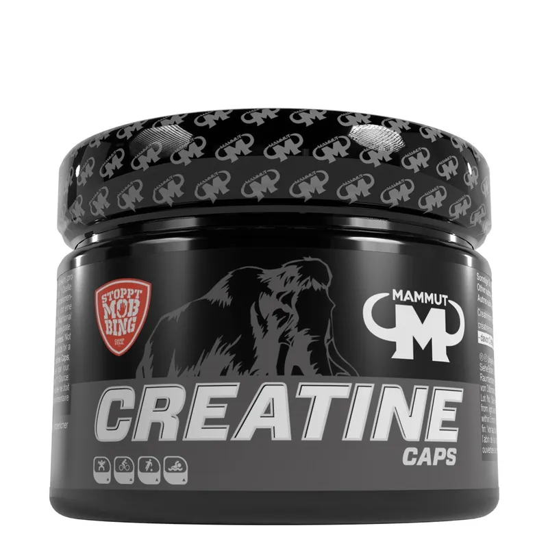 Creatin (240 Kapseln)