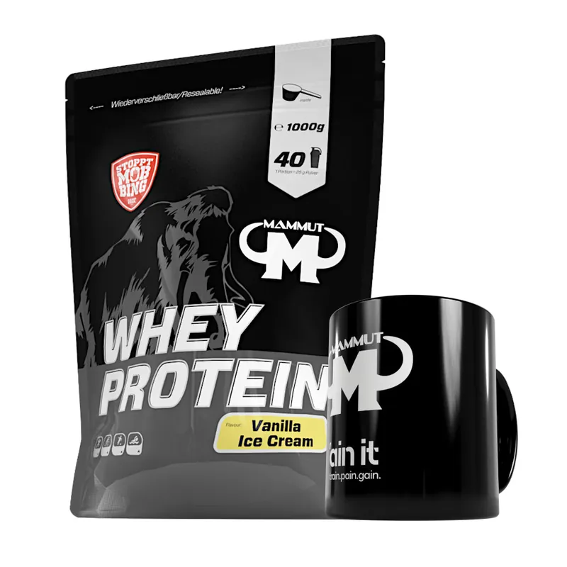 250 g - 1 kg Whey Protein Bundle Protein Shaker / Chocolate