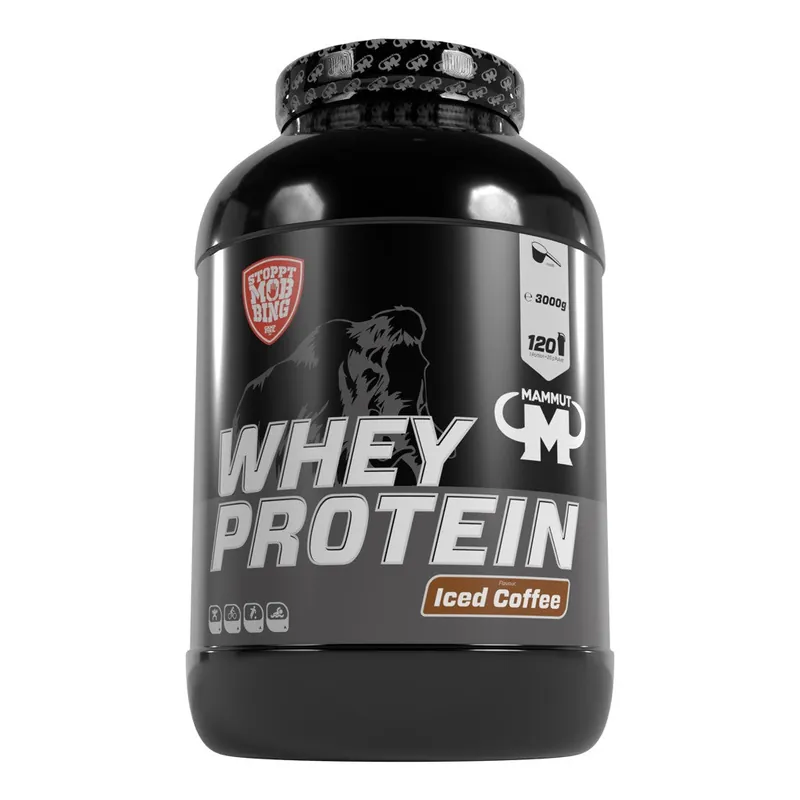 Whey Protein - 3000 g Dose Dose / Chocolate