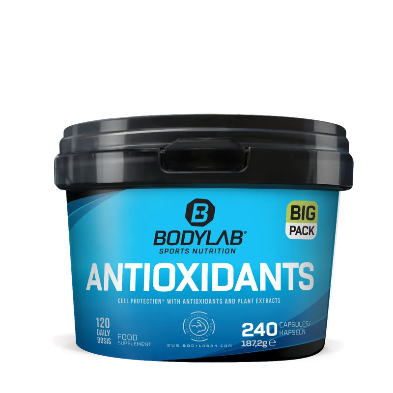 BIG Pack Antioxidants (240 Kapseln)