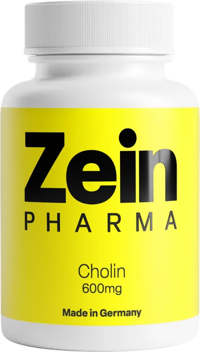 Cholin Kapseln 600mg (60 Kapseln)
