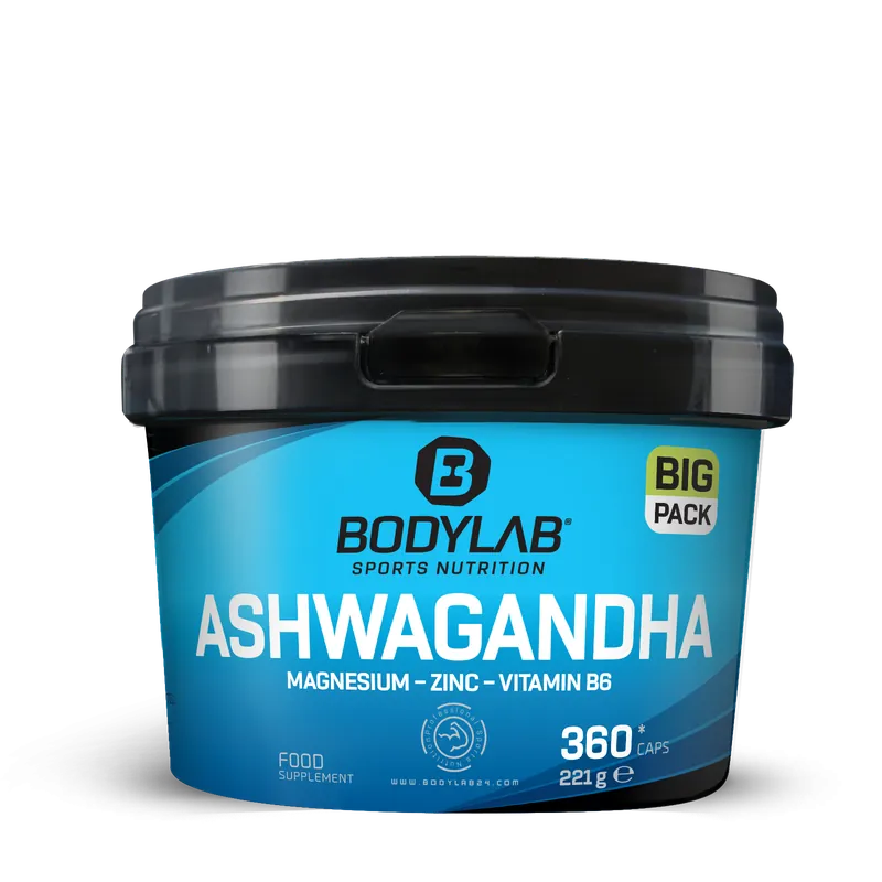 BIG PACK Ashwagandha + Magnesium - Zinc - Vitamin B6 (360 Kapseln)