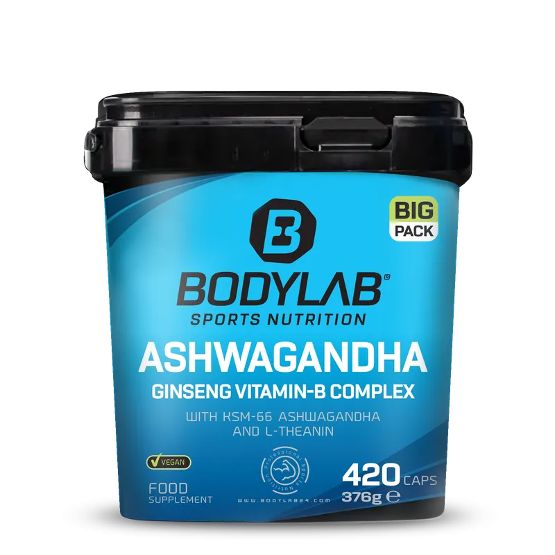 BIG PACK Ashwagandha Ginseng Vitamin-B Complex (420 Kapseln)