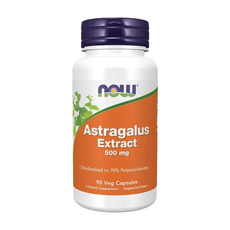 ASTRAGALUS EXTRACT 500mg - 90 veg caps