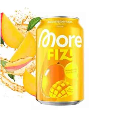 More Nutrition MORE FIZI DRINK, 330 ml Dose