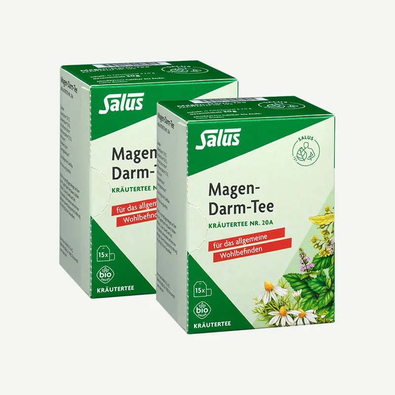Salus Bio Magen-Darm-Tee Nr. 20a