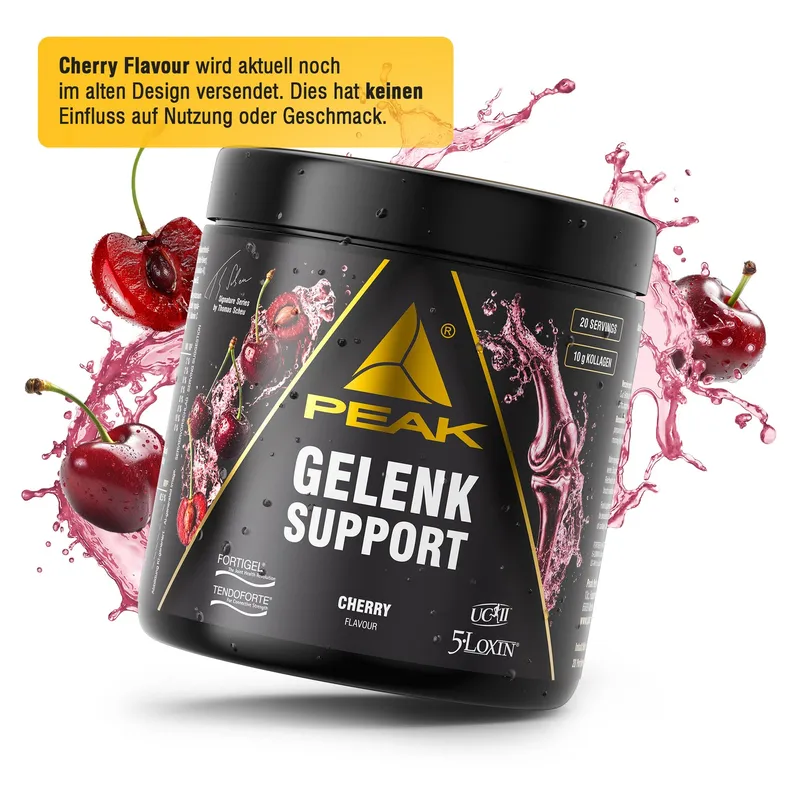 Gelenk Support