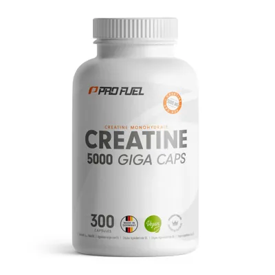 CREATINE | Kreatin-Monohydrat | 300 Kapseln