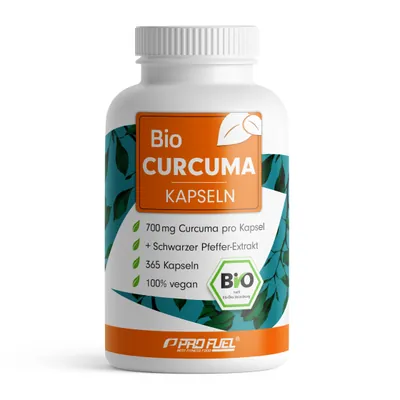 Bio CURCUMA | 365 Kapseln
