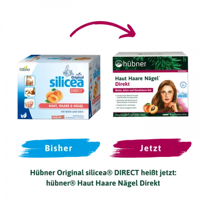 Hübner - Haut Haare Nägel Direkt Aprikose 30 Direktsticks à 15ml