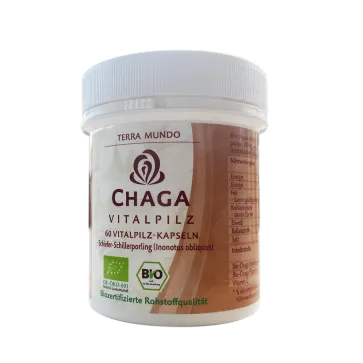 Terra Mundo - Chaga Vitalpilz Kapseln, 60 Kaps