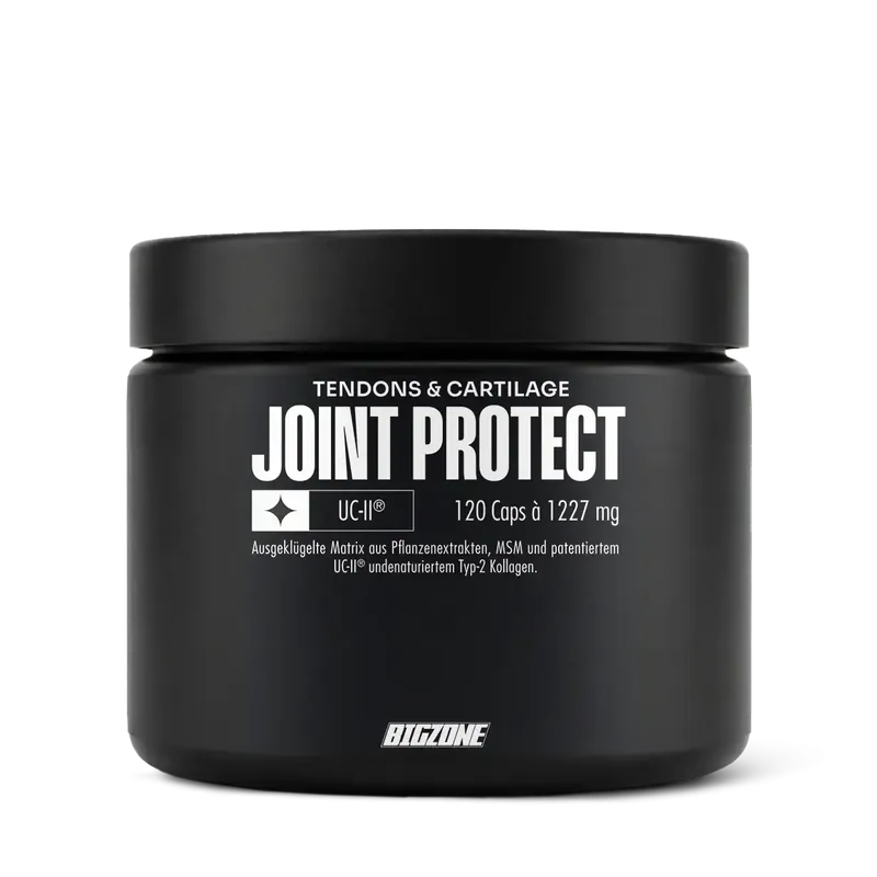 Big Zone - Joint Protect - 120 Kapseln