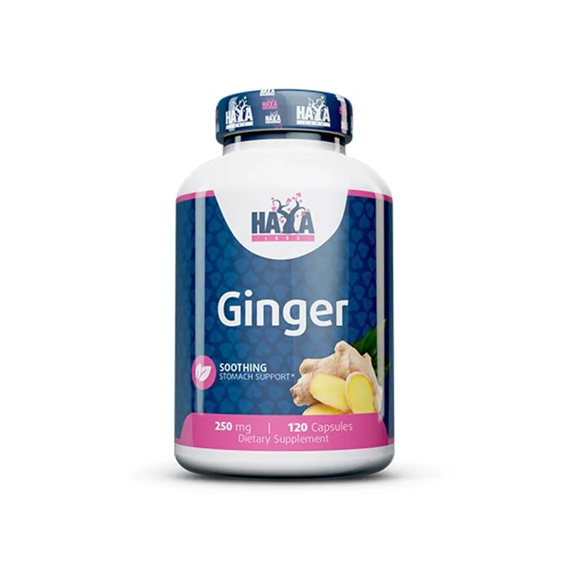 Haya Labs Ingwer 250 mg – 120 Kapseln, 5 % Gingerol