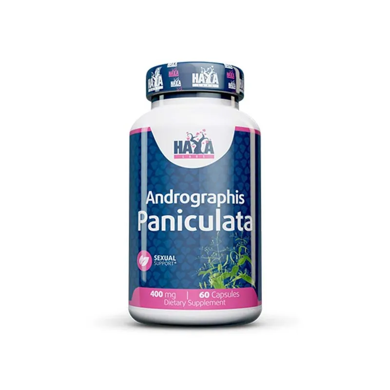 Haya Labs Andrographis paniculata 400 mg – 60 Kapseln