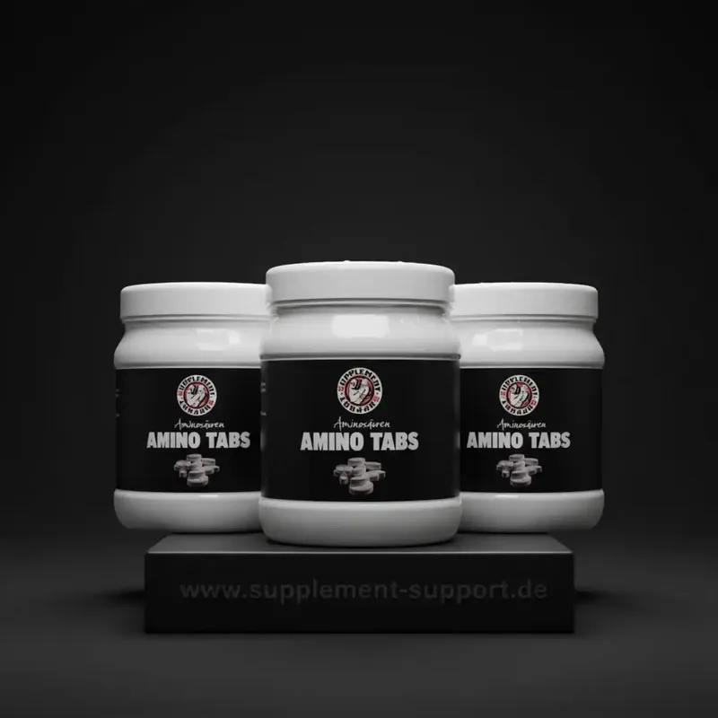 Amino Tabletten 3x 325 Stück von Supplement Support