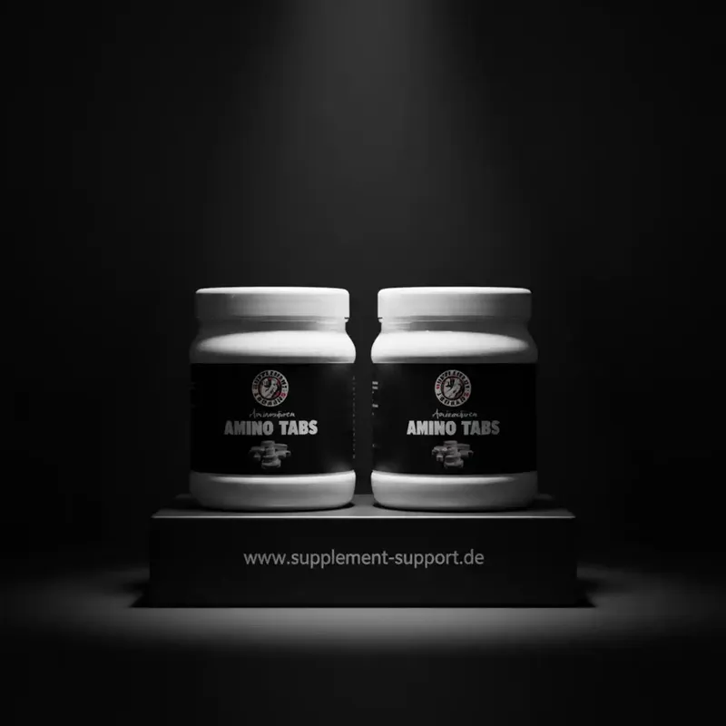 Amino Tabletten 2x 325 Stück von Supplement Support
