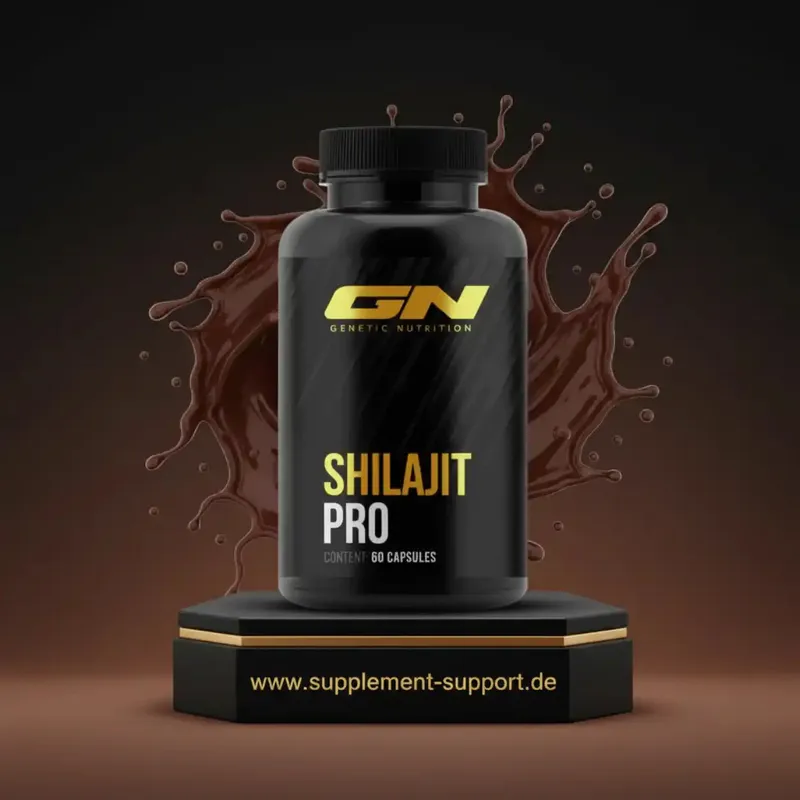 Gigas Nutrition Shilajit PRO · 60 Kapseln