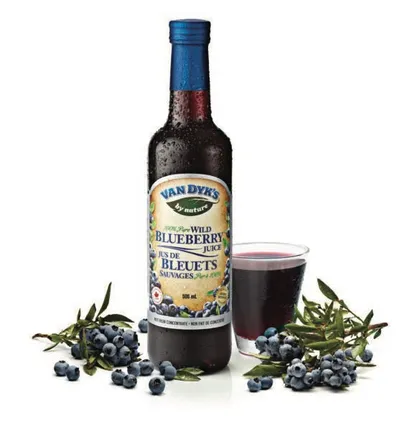 Wilde Blaubeere Saft | van Dyk