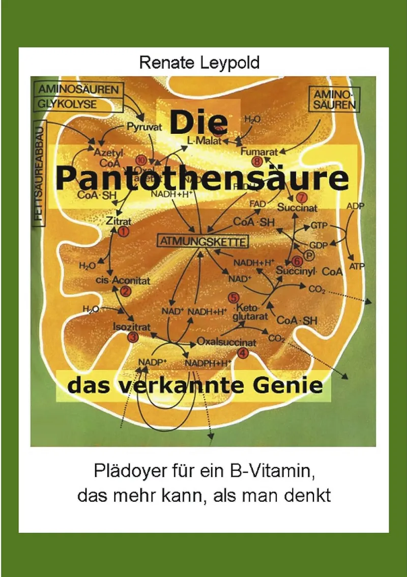 Leypold, Renate: Die Pantothensäure
