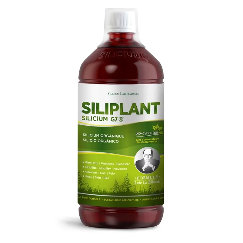 Silicium Siliplant