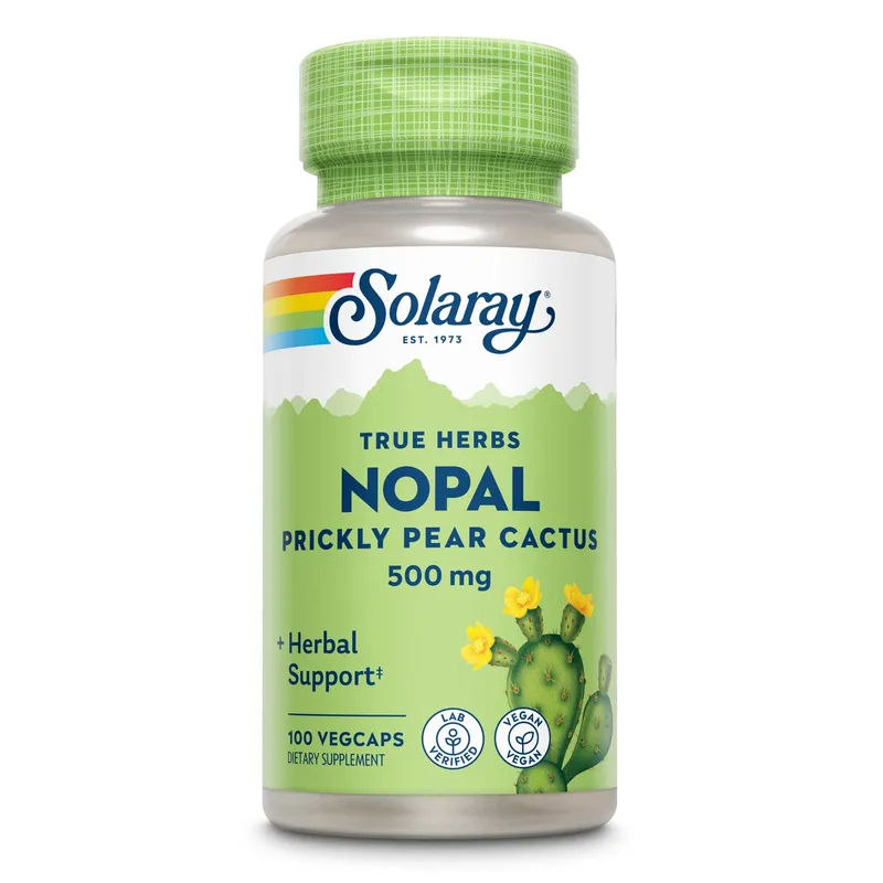 Feigenkaktus Nopal