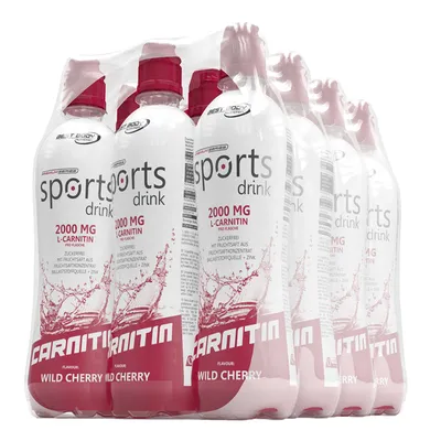 Best Body | Sports Drink mit L-Carnitin - 12x500ml