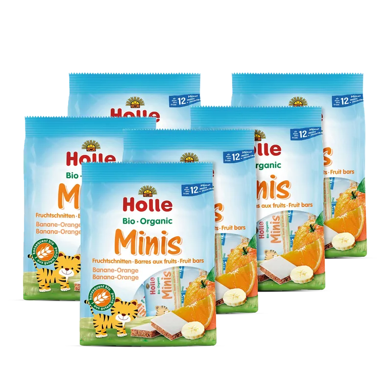 6er Pack Bio Minis Fruchtschnitten Banane Orange (8 Stück)