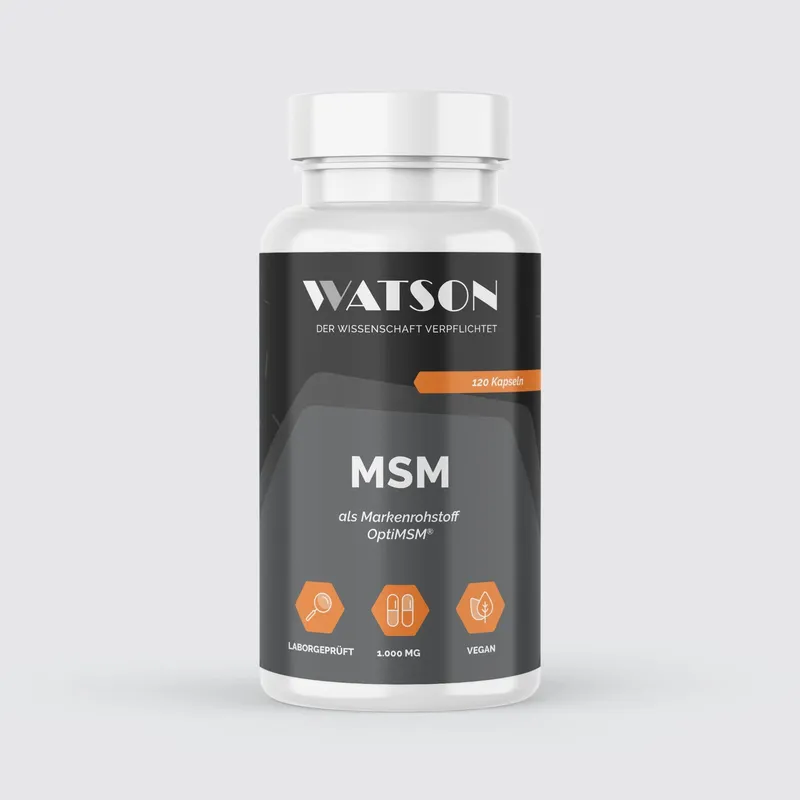 MSM Kapseln